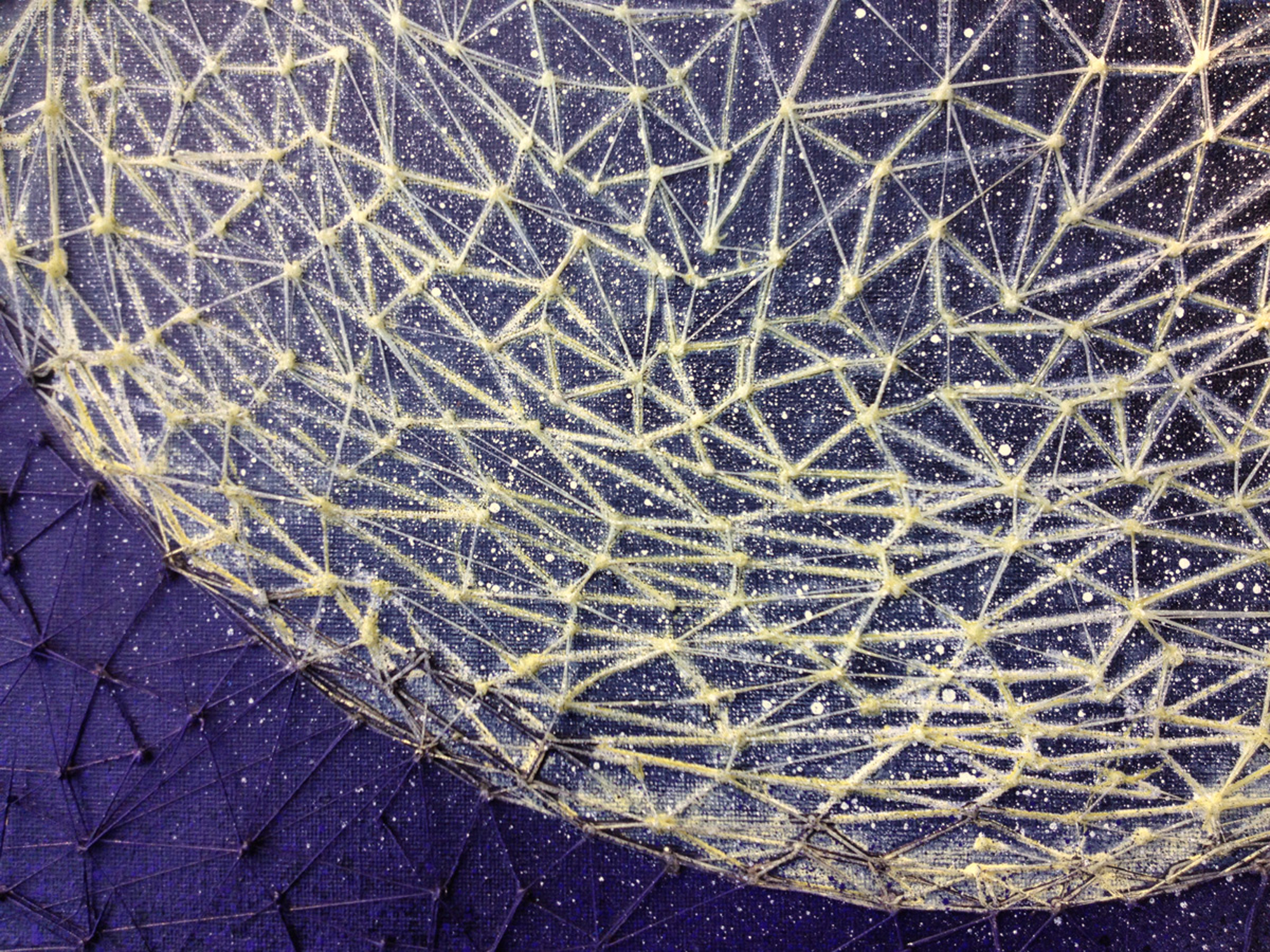Polysingularity-detail